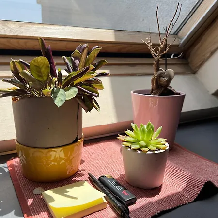 Cosy Rooftop In Center Apartment